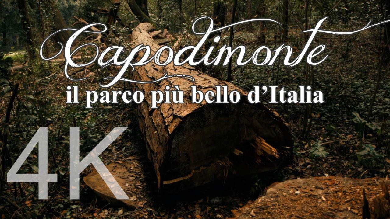Alla Corte Del Re Dimora Storica Neapol Zewnętrze zdjęcie
